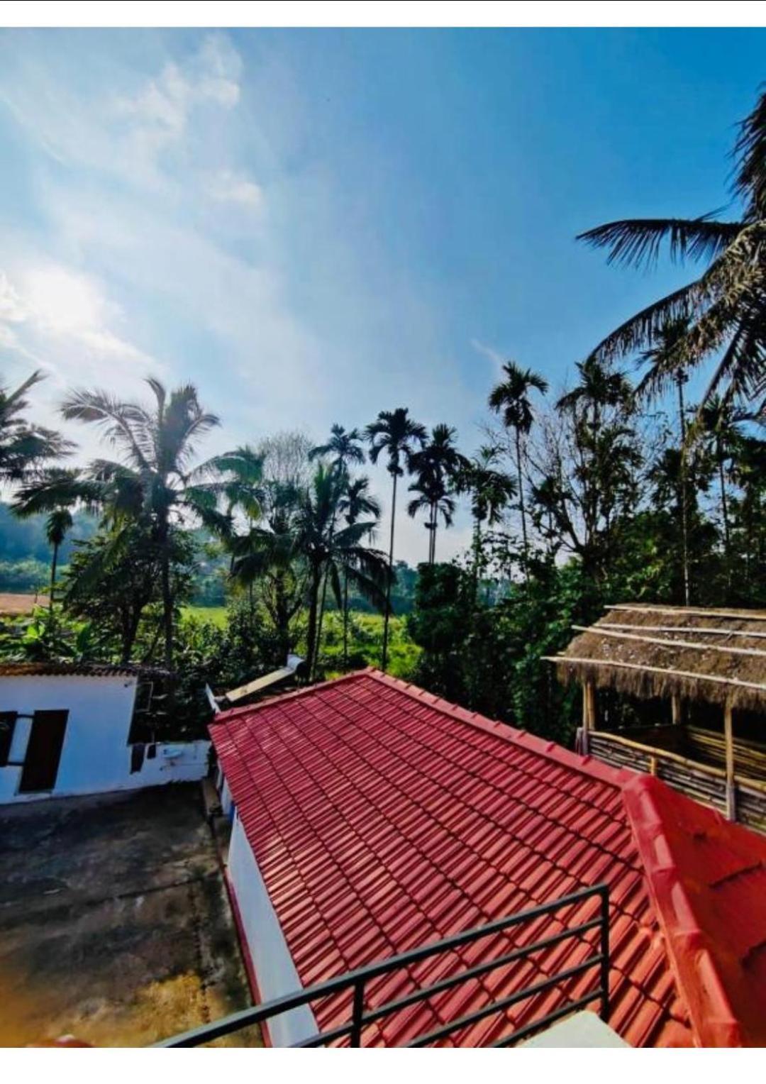 Streaming Valley Independent Coffee Estate Stay Madikeri Dış mekan fotoğraf